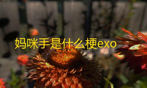 荒野行动挂 锁头 透视妈咪手是什么梗exo